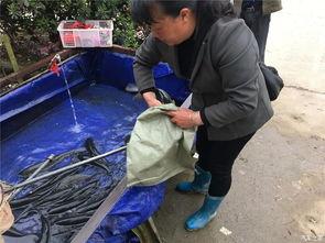 五一吃瓜群众视频在线观看,揭秘热门事件幕后真相  第3张